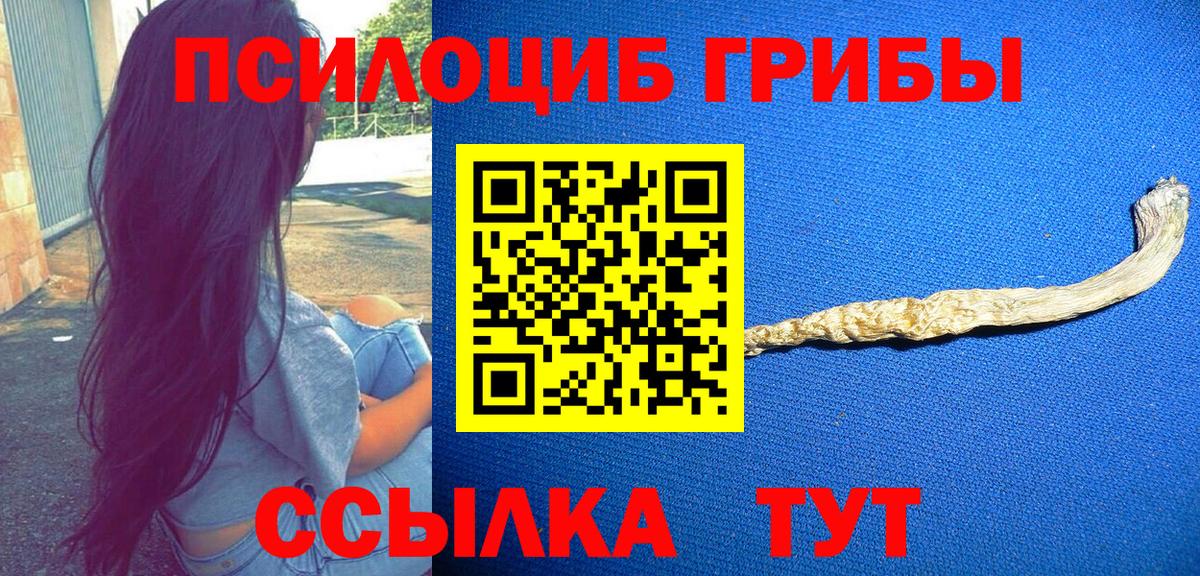Галлюциногенные грибы Magic Shrooms Москва