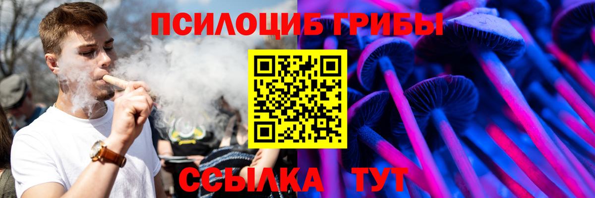 Москва  Псилоцибиновые грибы мухоморы  Вход с VPN 